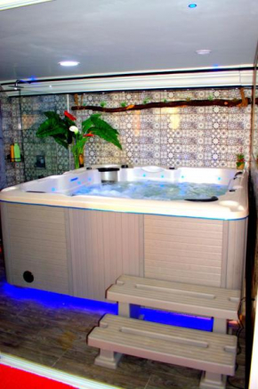 Appartement LOUIS XIV avec HAMMAM SAUNA JACCUZI PRIVATISÉ TOTALEMENT GRATUIT SANS SUPPLÉMENT !
